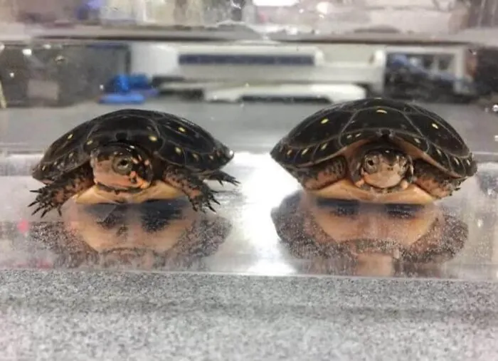 35 Images For Those Venturing Beyond The Blessings Of The Internet