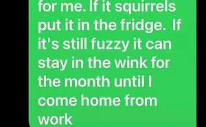 “Die In A Minute”: 125 Times Autocorrect Made A Mess From A Normal Text