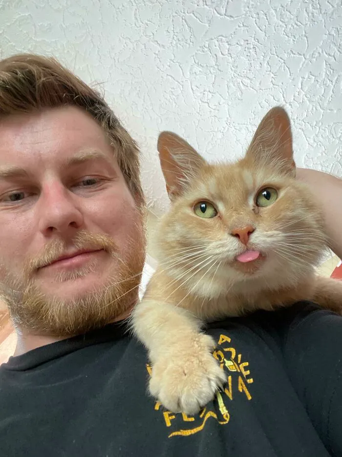 My Neighbors Were Evicted And Abandoned Their Cat. I Decided To Adopt Him. Meet Mimi