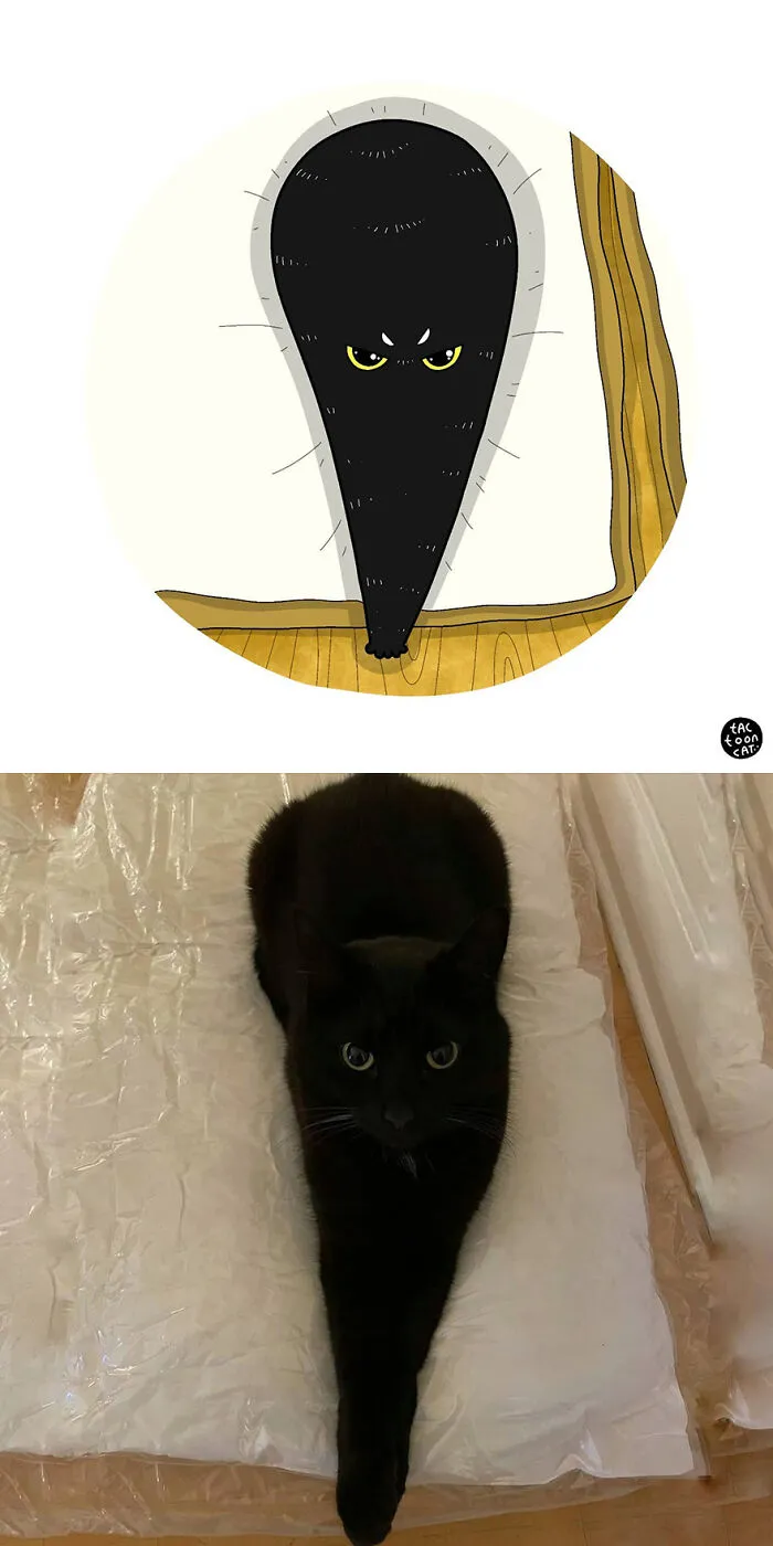 35 Already Famous Internet Pics Get Transformed Into Even Funnier Cartoons By Tactooncat (New Pics)