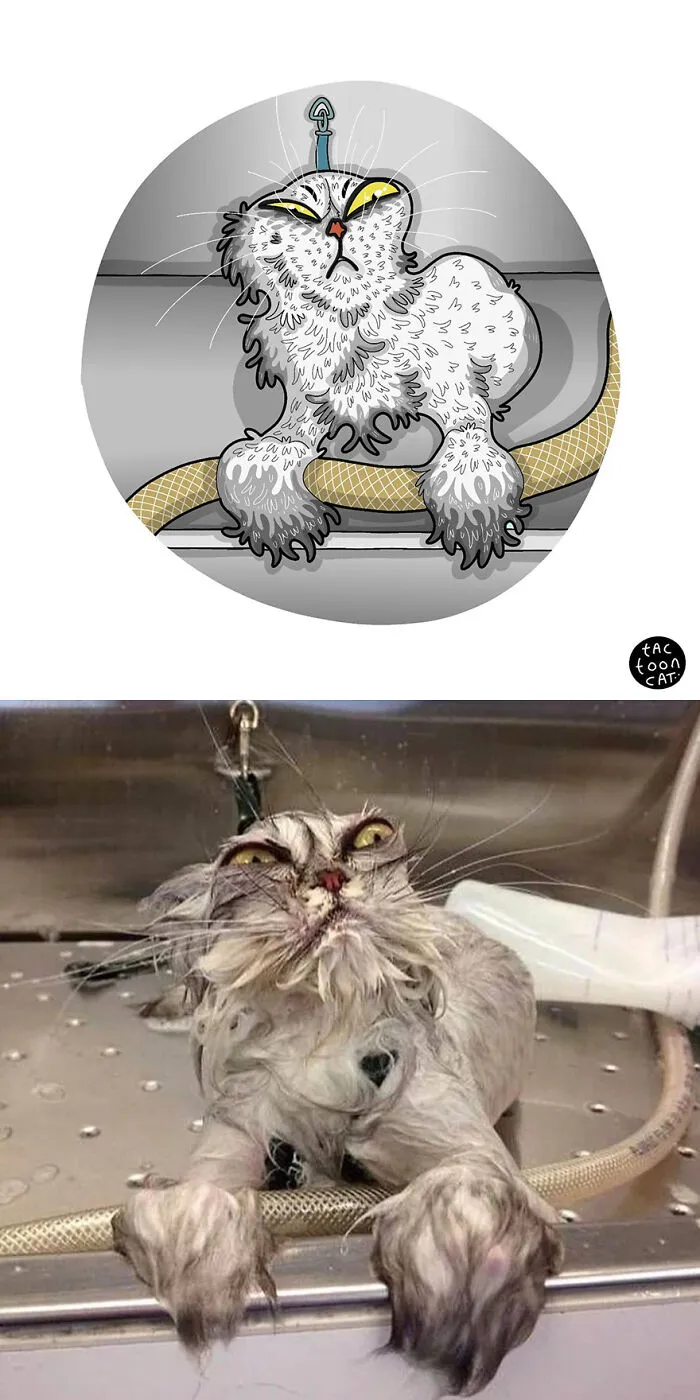 35 Already Famous Internet Pics Get Transformed Into Even Funnier Cartoons By Tactooncat (New Pics)