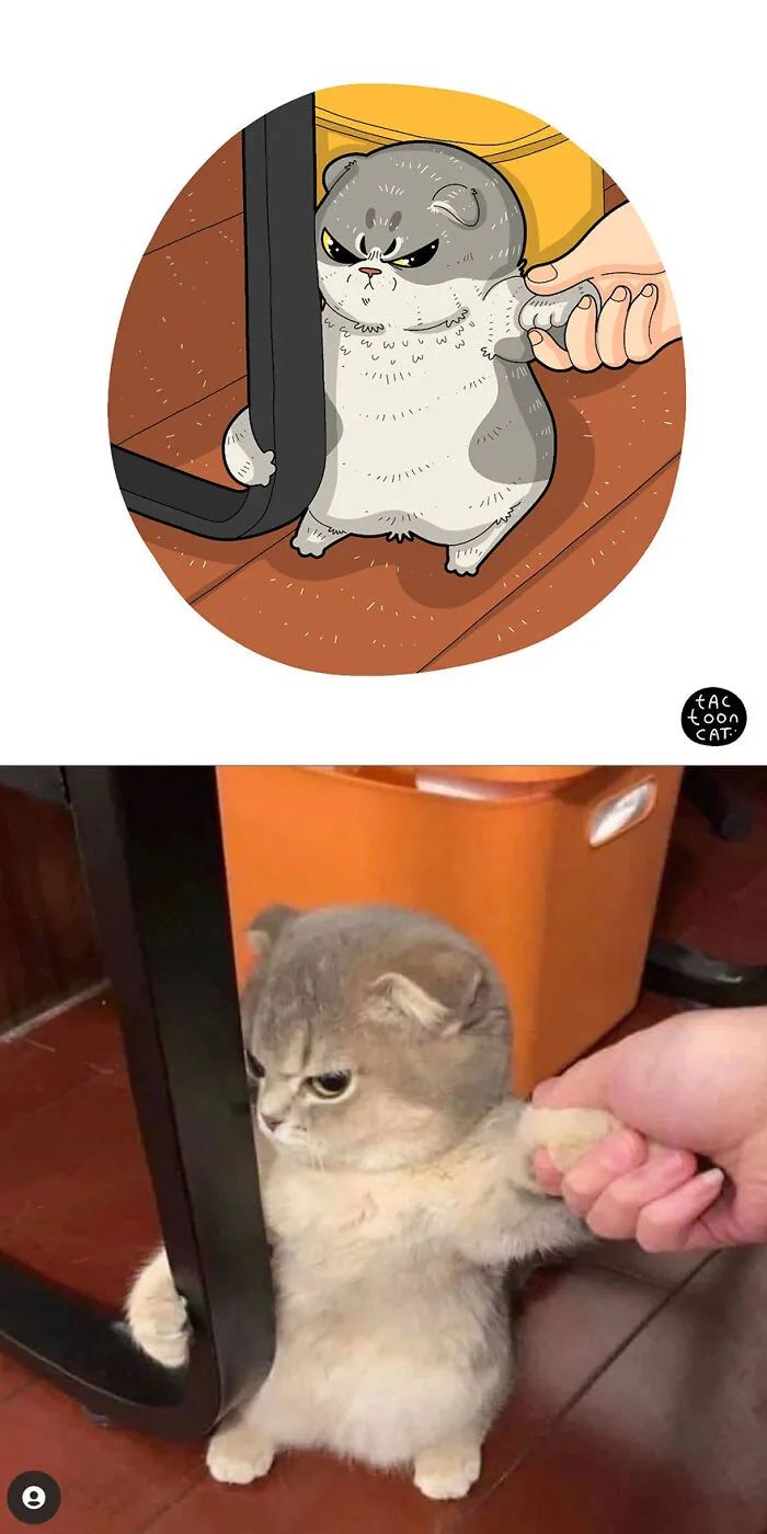 35 Already Famous Internet Pics Get Transformed Into Even Funnier Cartoons By Tactooncat (New Pics)