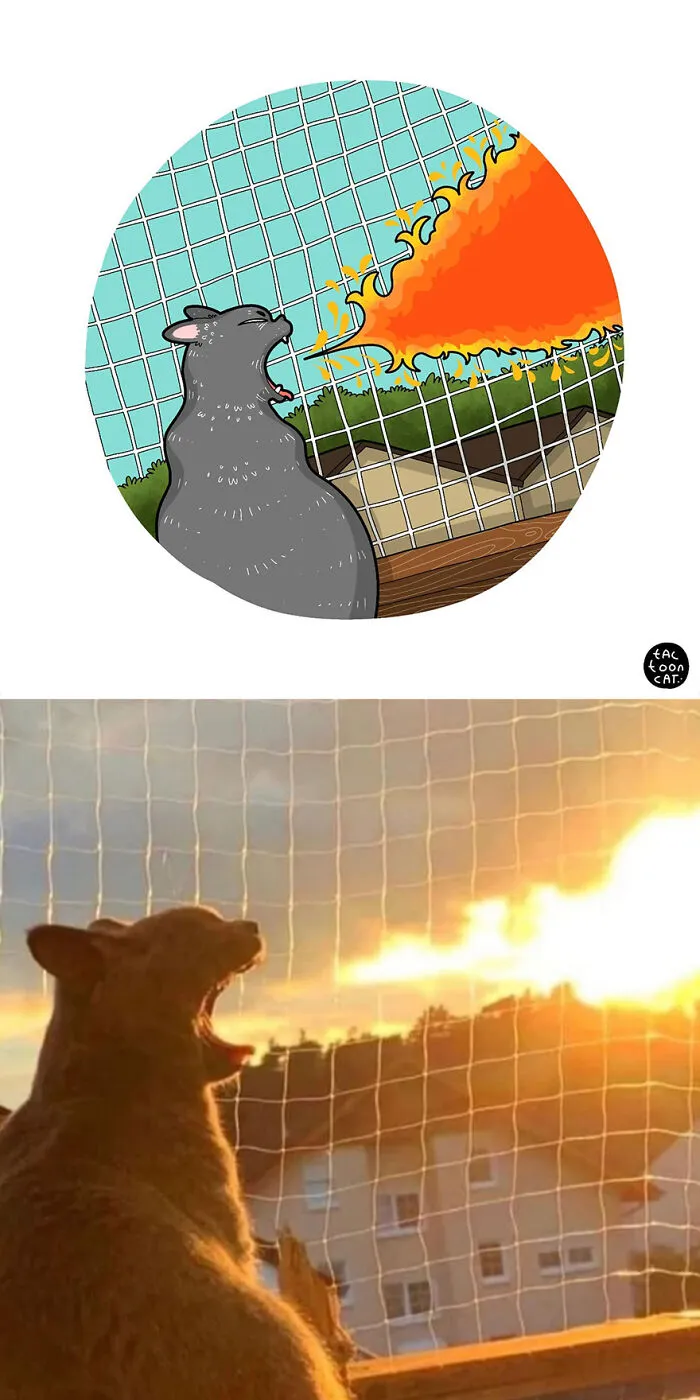 35 Already Famous Internet Pics Get Transformed Into Even Funnier Cartoons By Tactooncat (New Pics)