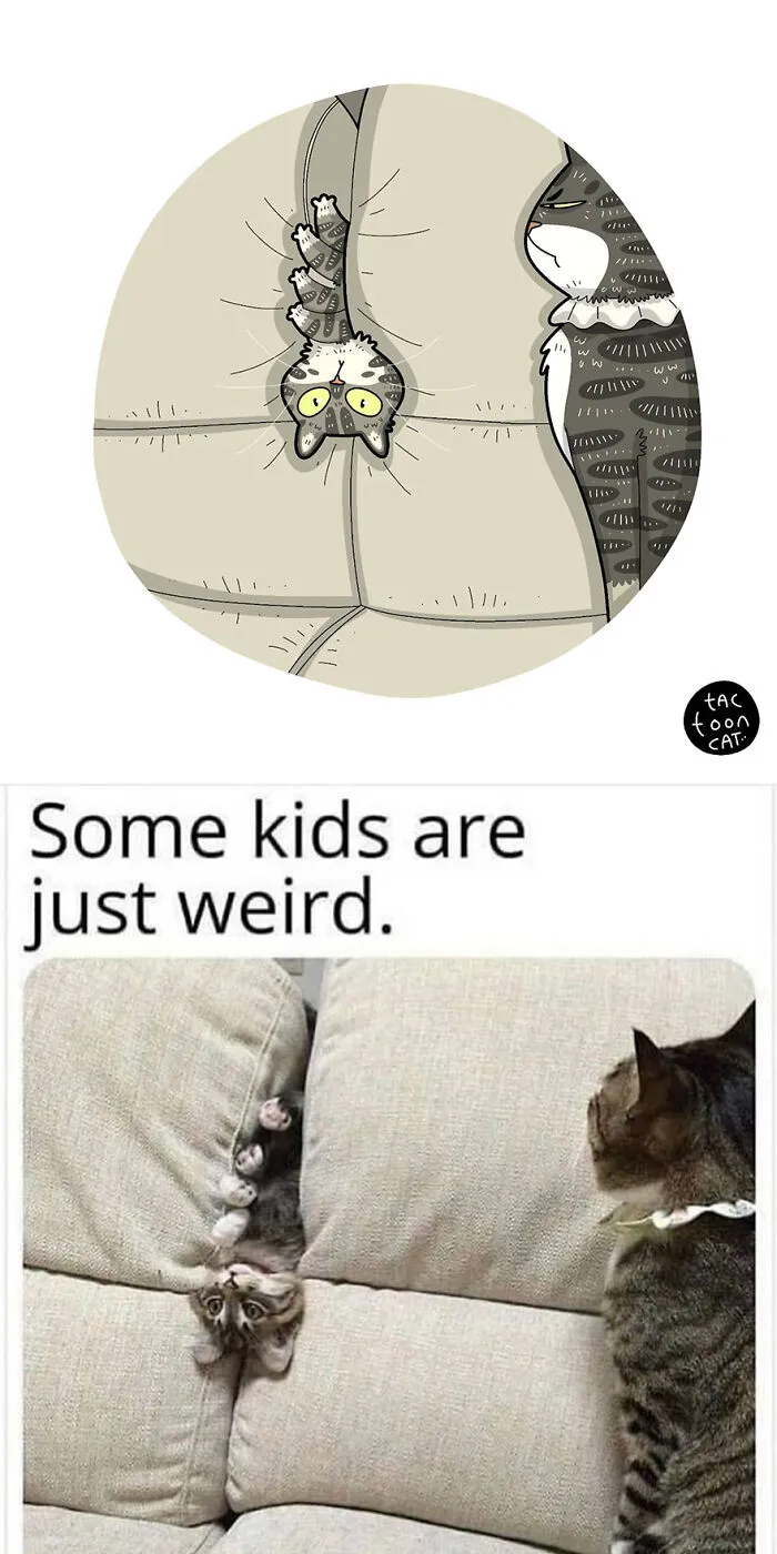 35 Already Famous Internet Pics Get Transformed Into Even Funnier Cartoons By Tactooncat (New Pics)