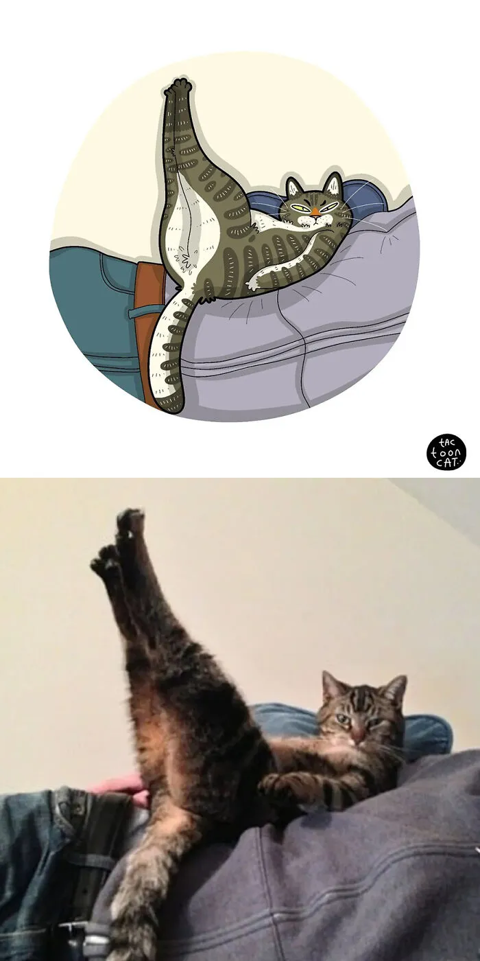 35 Already Famous Internet Pics Get Transformed Into Even Funnier Cartoons By Tactooncat (New Pics)