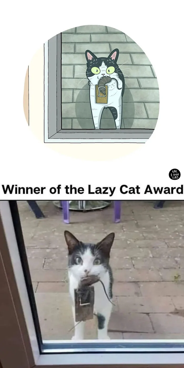 35 Already Famous Internet Pics Get Transformed Into Even Funnier Cartoons By Tactooncat (New Pics)