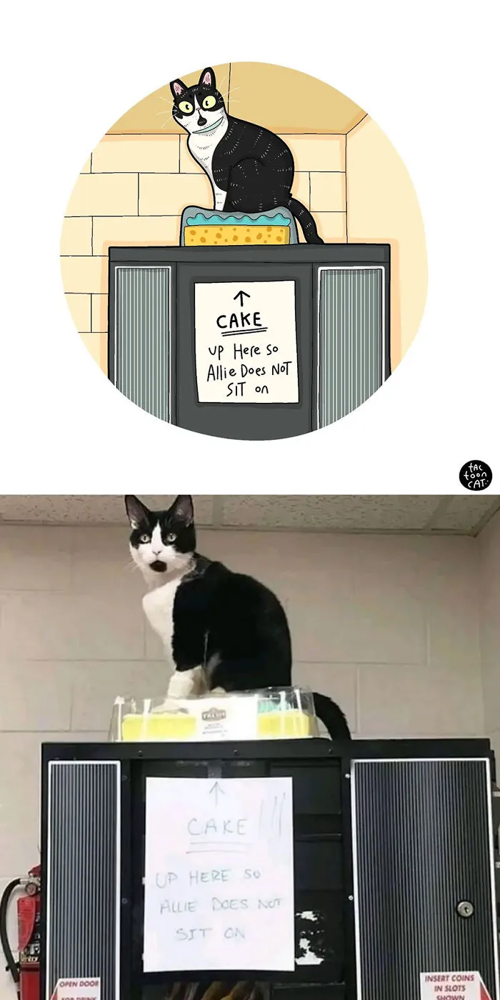 35 Already Famous Internet Pics Get Transformed Into Even Funnier Cartoons By Tactooncat (New Pics)