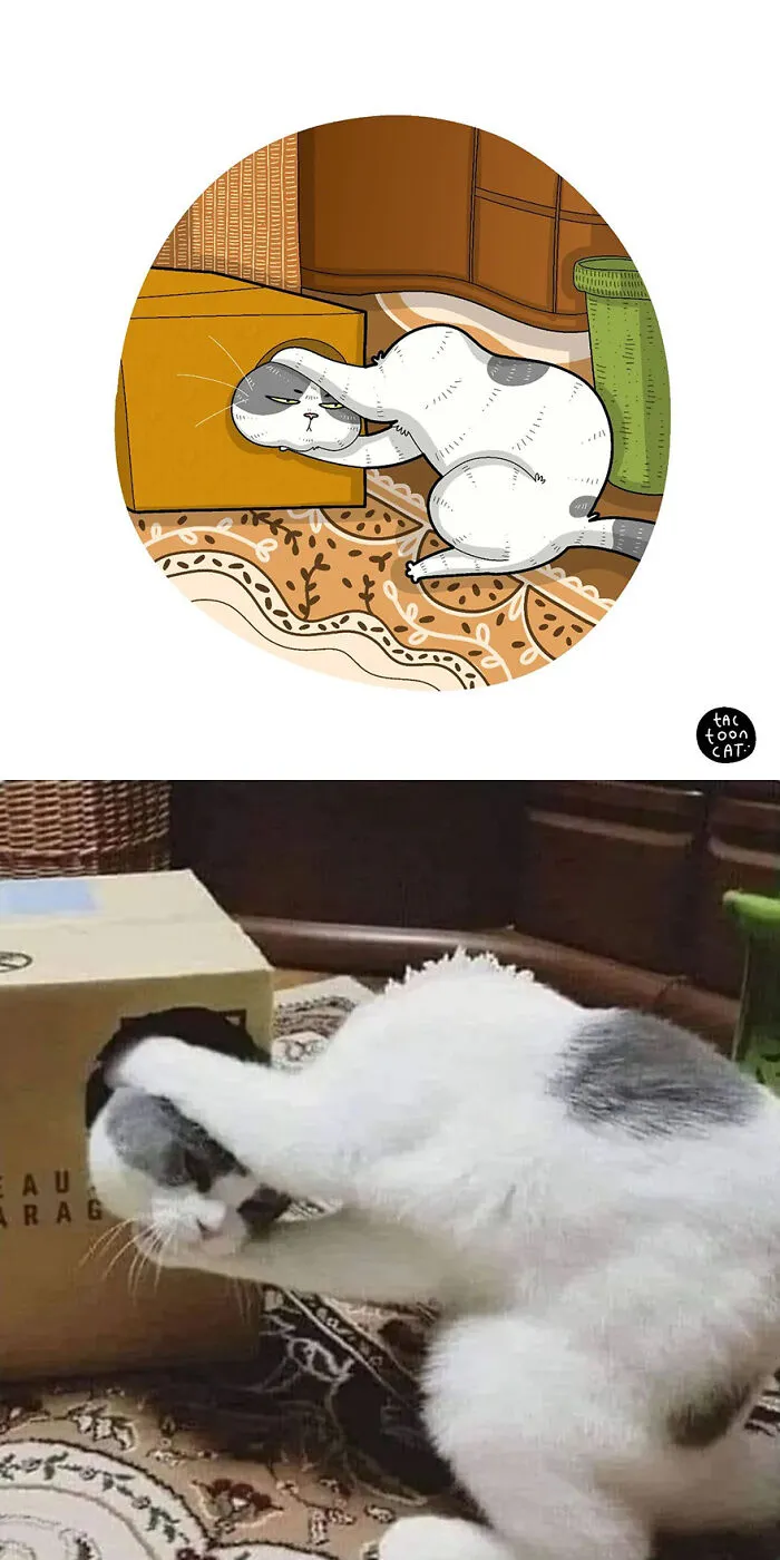 35 Already Famous Internet Pics Get Transformed Into Even Funnier Cartoons By Tactooncat (New Pics)