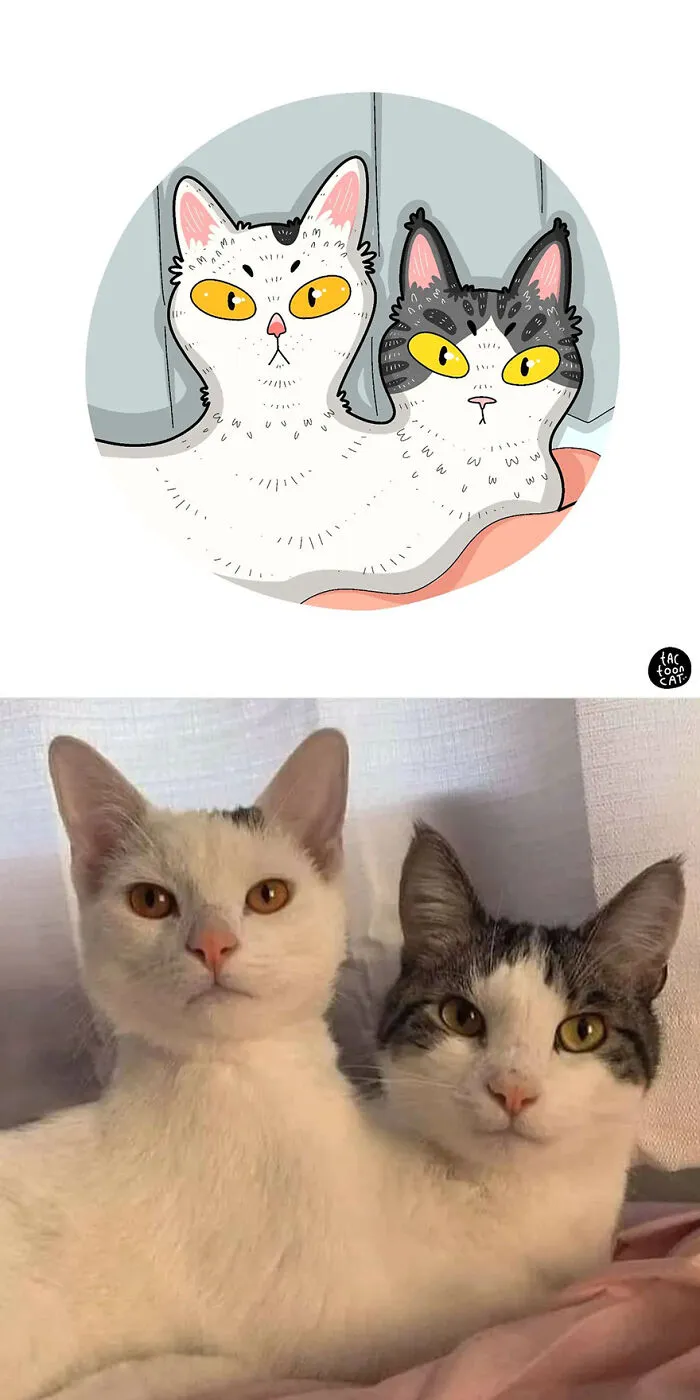 35 Already Famous Internet Pics Get Transformed Into Even Funnier Cartoons By Tactooncat (New Pics)