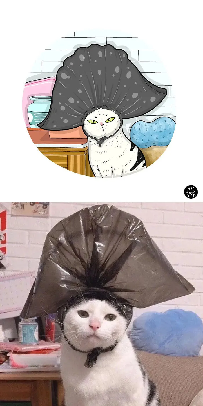35 Already Famous Internet Pics Get Transformed Into Even Funnier Cartoons By Tactooncat (New Pics)