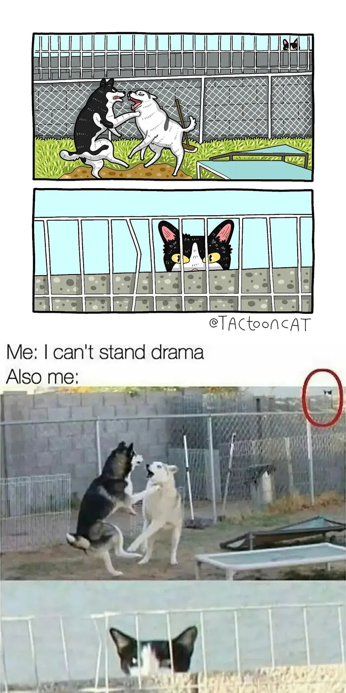 35 Already Famous Internet Pics Get Transformed Into Even Funnier Cartoons By Tactooncat (New Pics)
