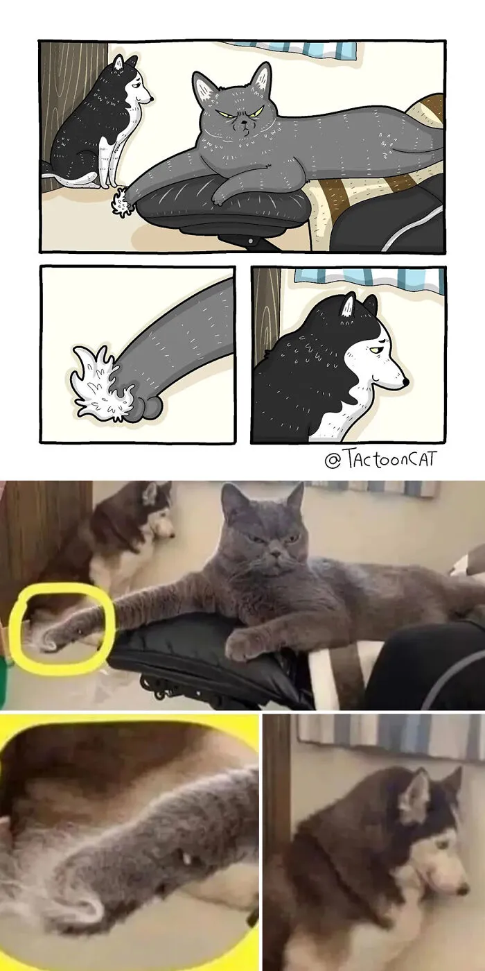 35 Already Famous Internet Pics Get Transformed Into Even Funnier Cartoons By Tactooncat (New Pics)