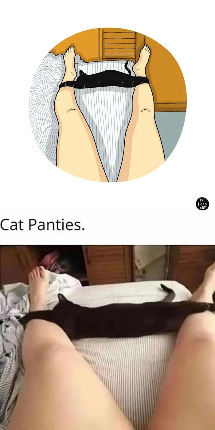 35 Already Famous Internet Pics Get Transformed Into Even Funnier Cartoons By Tactooncat (New Pics)