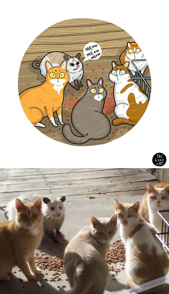 35 Already Famous Internet Pics Get Transformed Into Even Funnier Cartoons By Tactooncat (New Pics)