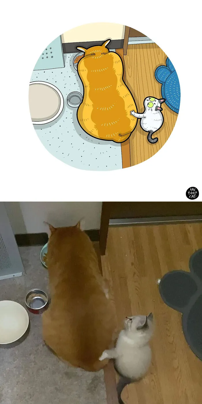 35 Already Famous Internet Pics Get Transformed Into Even Funnier Cartoons By Tactooncat (New Pics)