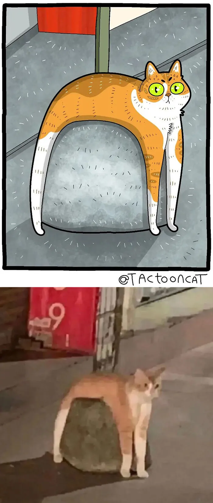 35 Already Famous Internet Pics Get Transformed Into Even Funnier Cartoons By Tactooncat (New Pics)