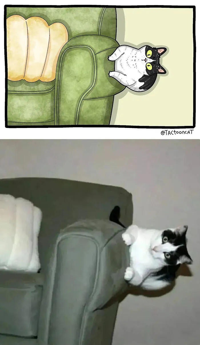 35 Already Famous Internet Pics Get Transformed Into Even Funnier Cartoons By Tactooncat (New Pics)