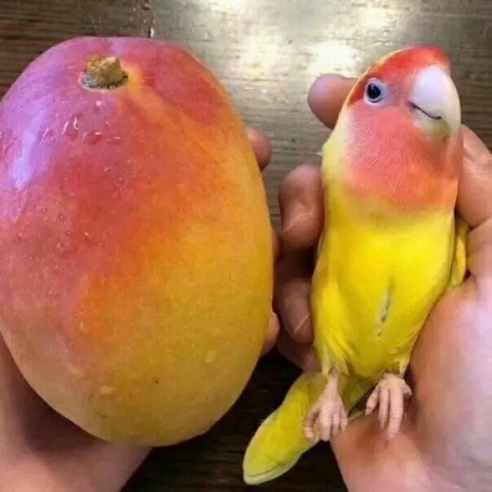 This Page Shares The Most Random And Entertaining Pics, And Here's 30 Of The Best