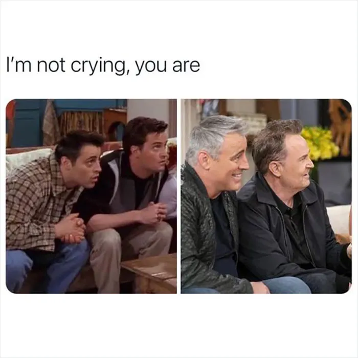 If You’re In A Bad Mood, These 30 Hilarious “Friends” Memes Might Cheer You Up