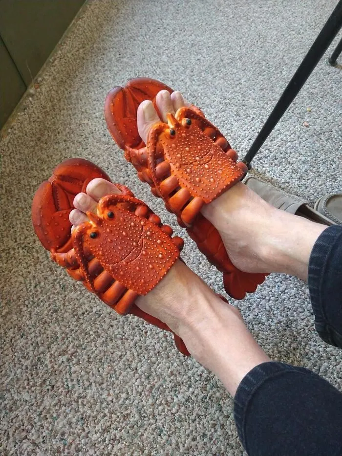 Step Into Quirkiness With  <a Style="Display:inline;" Href="Https://Www.amazon.com/Lobster-Slippers-Unisex-Sandals-Swimming/Dp/B089gnwz7h?crid=1gxrelyp6v3yq&keywords=weird+things&qid=1701081919&sprefix=weird+%2caps%2c165&sr=8-26&linkcode=ll1&tag=bpjaguar-20&linkid=d3e1694056b02be5f590e6debcc69c20&language=en_us&ref_=as_li_ss_tl" Target="_blank"><span Style="Font:inherit;color:#d74b1f;"> Lobster Slippers</Span>  - Where Comfort Meets 'Shellfish' Ambition