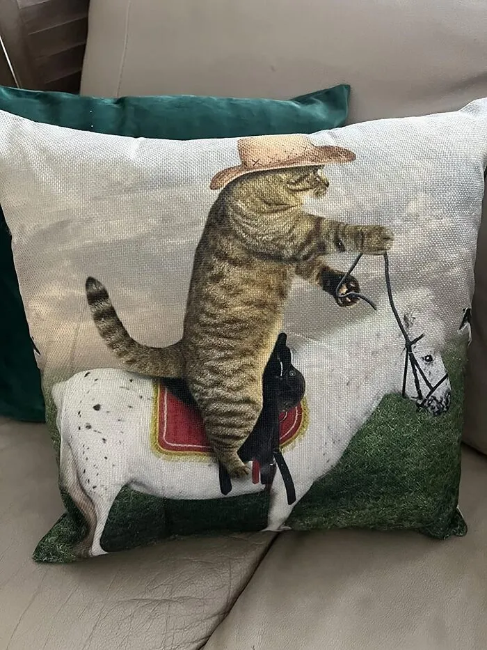 Saddle Up With This Whimsical <a Style="Display:inline;" Href="Https://Www.amazon.com/Swono-Farmhouse-Cowboy-Decorative-Pillow/Dp/B08tj1bsdv?crid=1gxrelyp6v3yq&keywords=weird%2bthings&qid=1701082073&sprefix=weird%2b%2caps%2c165&sr=8-86&th=1&linkcode=ll1&tag=bpjaguar-20&linkid=db997c3e023cd8fc34100ba297731e48&language=en_us&ref_=as_li_ss_tl" Target="_blank"><span Style="Font: Inherit; Color: #d74b1f;"> Cat Throw Pillow</Span>, Featuring A Feline Cowboy Riding A Unicorn - The Purr-Fect Addition To Any Room That's Ready To Get Wild And Wacky!