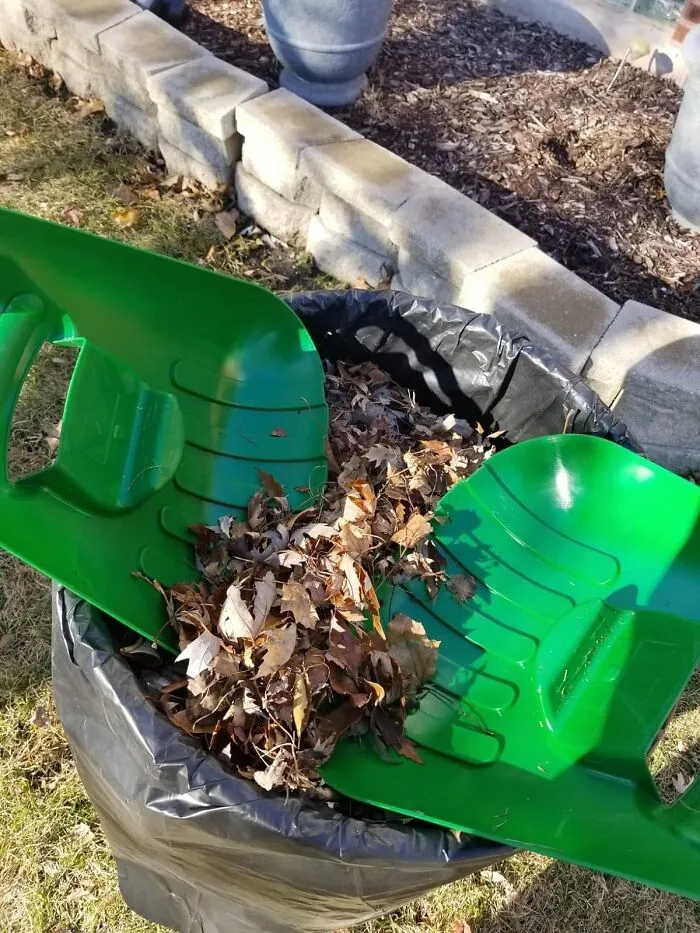 Reap The Rewards Of A Spotless Lawn With <a Style="Display:inline;" Href="Https://Www.amazon.com/Dp/B00gpvza58?ascsubtag=6087218%2c7%2c37%2cd%2c0%2c0%2c0%2c0%3a0%2c17333611%2c0%2c0%2c0&linkcode=ll1&tag=bpjaguar-20&linkid=ab35d7f140df45ec078e252a5b36e2d7&language=en_us&ref_=as_li_ss_tl" Target="_blank"> <span Style="Font:inherit;color:#d74b1f;"> Large Hand Held Rakes </Span> - Keeping Your Yard Clean Shouldn't Be A Hard Rake-Ing Job
