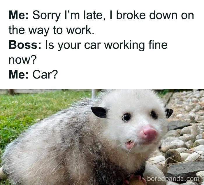 50 Work-Related Memes That May Make You Laugh, Then Cry (New Pics)
