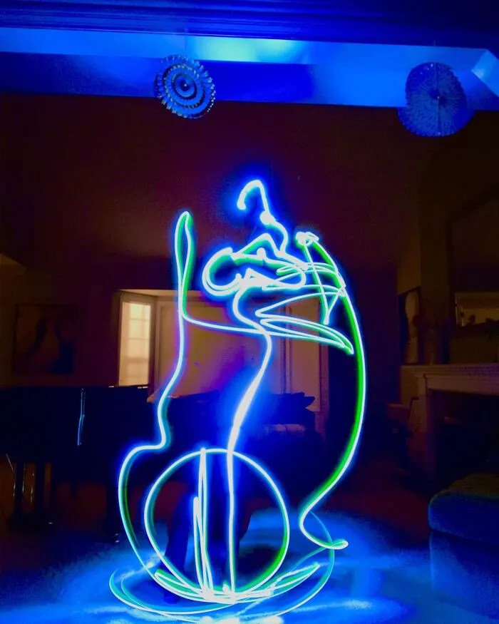 Cat Light Drawing