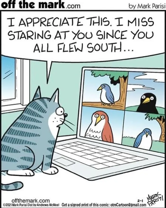 “Off The Mark”: 35 Hilarious Comics By Mark Parisi, Internet Edition