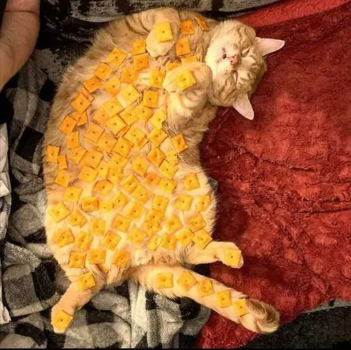 30 Times Food Ended Up Somewhere It Definitely Didn’t Belong