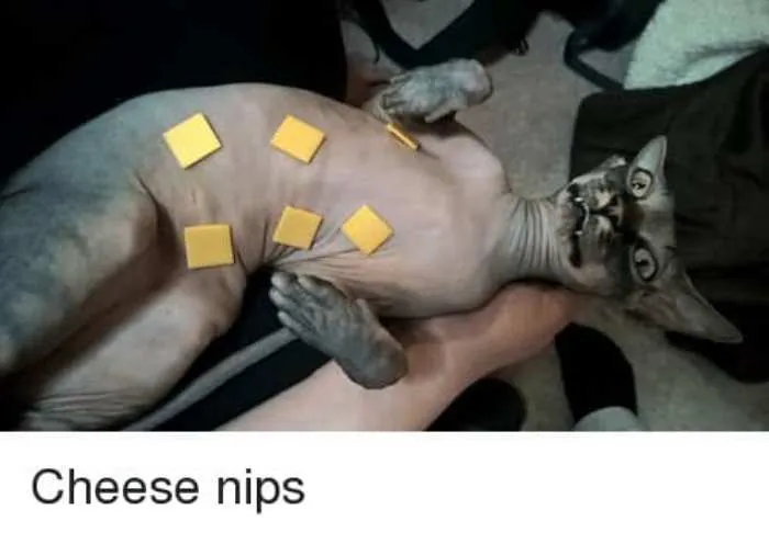 30 Times Food Ended Up Somewhere It Definitely Didn’t Belong