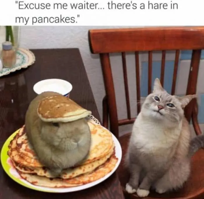 30 Times Food Ended Up Somewhere It Definitely Didn’t Belong