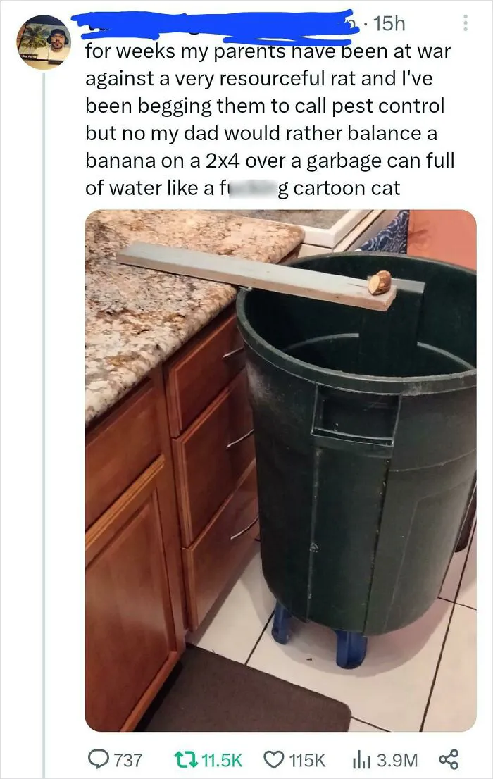 Tom &amp; Jerry Irl