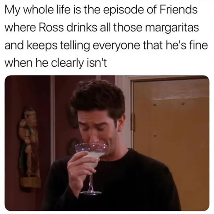 If You’re In A Bad Mood, These 30 Hilarious “Friends” Memes Might Cheer You Up