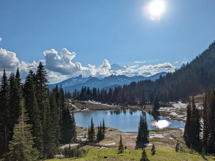 Nature 
