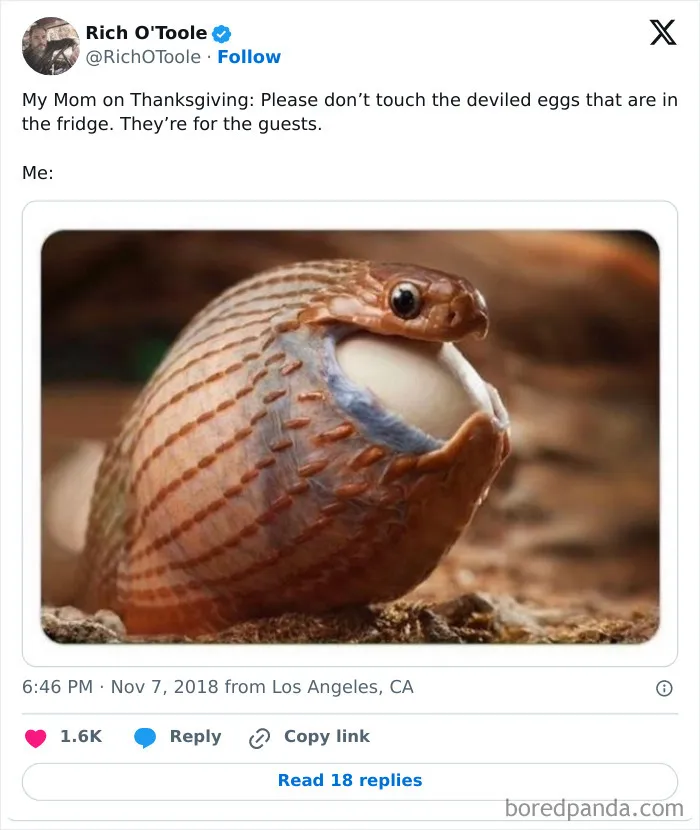 30 Of The Funniest Posts About Thanksgiving To Heal You From This Year’s Thanksgiving Trauma