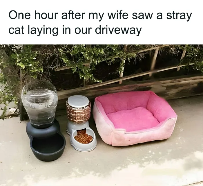 This Page Shares The Most Random And Entertaining Pics, And Here's 30 Of The Best