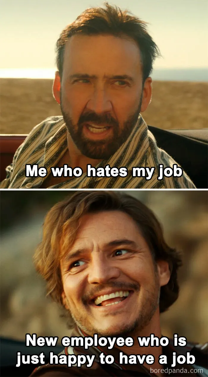 50 Work-Related Memes That May Make You Laugh, Then Cry (New Pics)