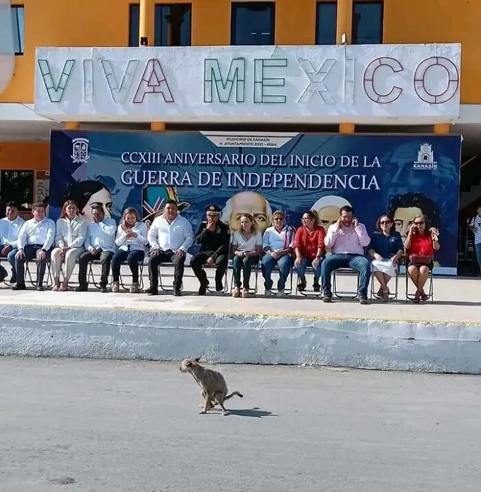 50 Weird Images That Need No Context Whatsoever To Be Hilarious, As Seen On This FB Page