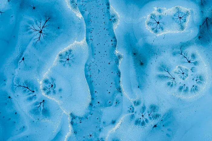Nature Photographer Of The Year: "Ice Fantasy" By Barbara And Maciej Noskowski