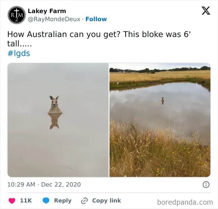 Reason #47 Why Australia Is Not Messing Around