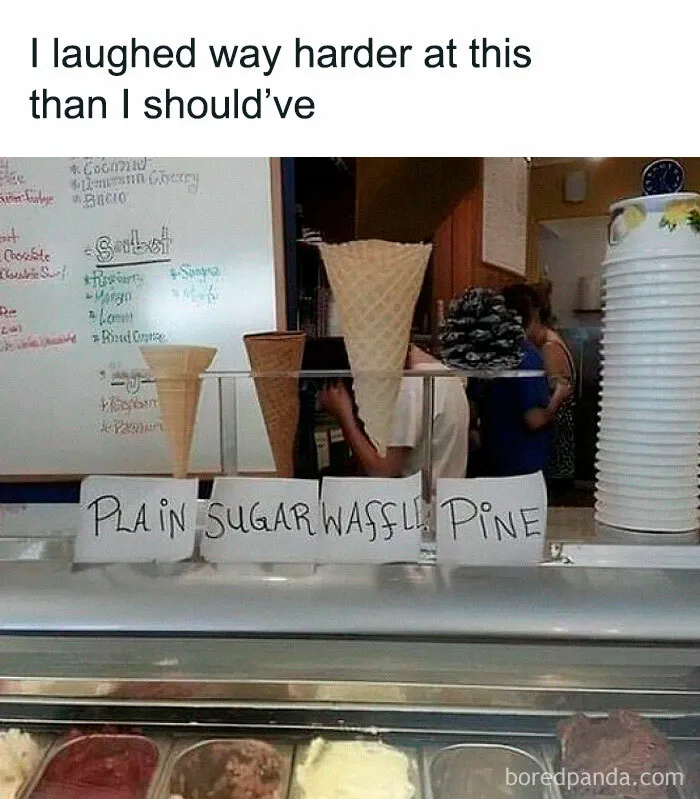 “Sorry, We Are Sorry”: 35 Hilarious Accurate Memes That Sum Up The Country Perfectly (New Pics)