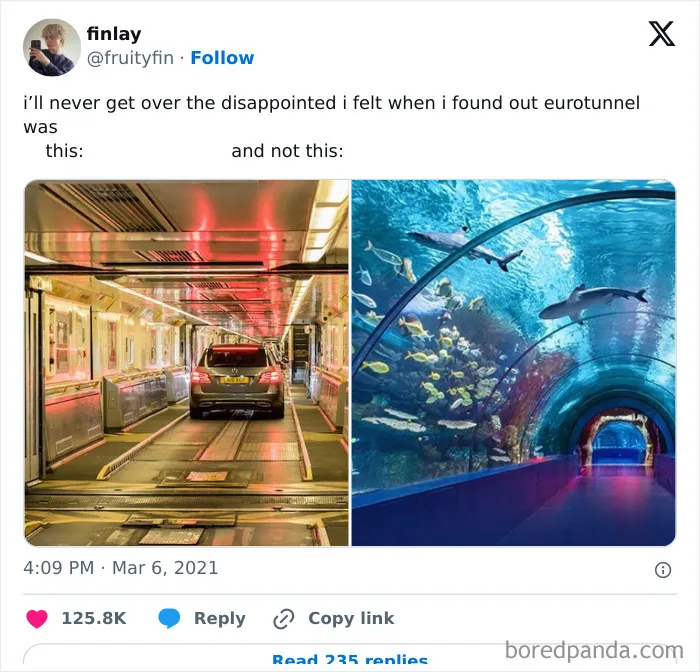50 Funny British Memes To Crack You Up