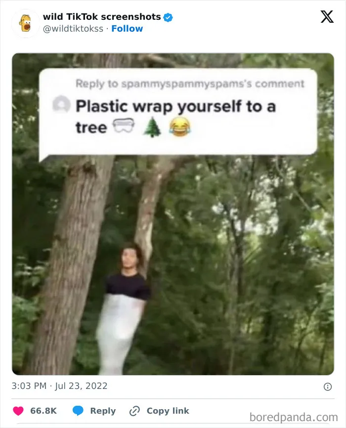 The 'Wild TikTok Screenshots' Twitter Account Is Making People Lose Faith In Humanity, And Here Are 35 Of Their Craziest Posts