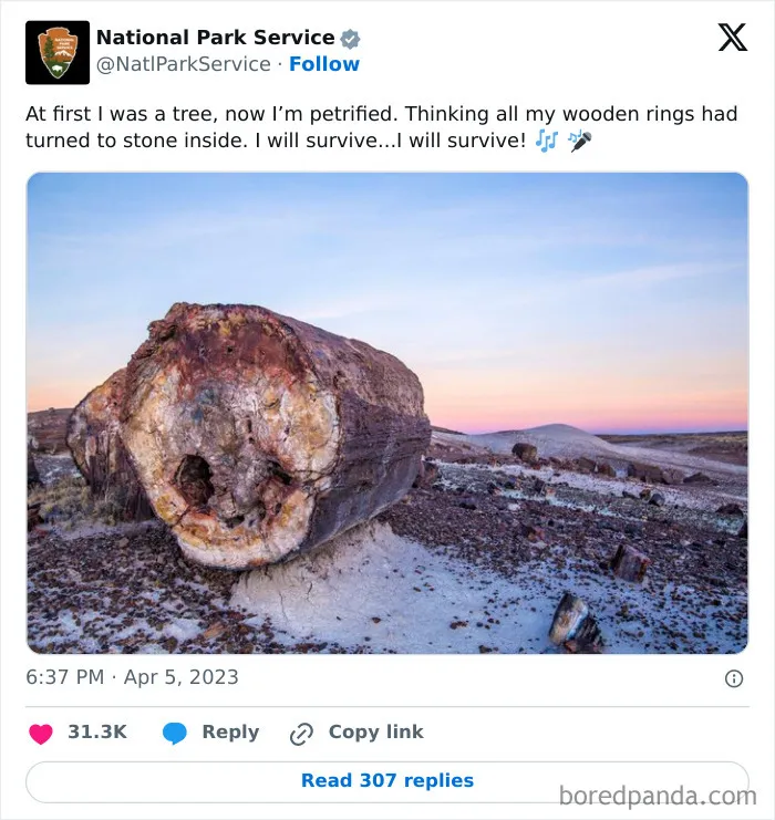 Funny-National-Park-Service-Twitter-Posts