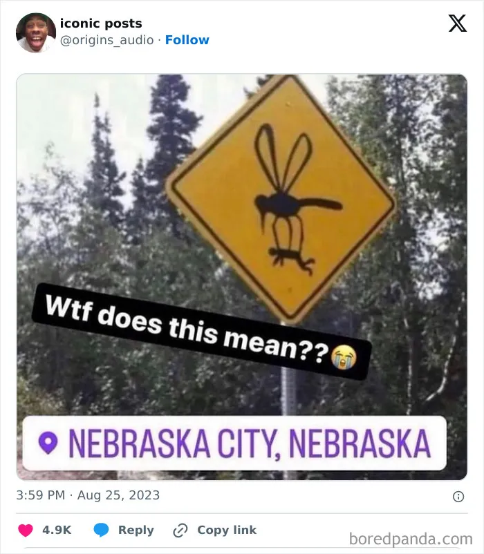 Last Brain Cell: 50 Hilarious Posts And Memes, As Seen On The ‘Iconic Posts’ X Page