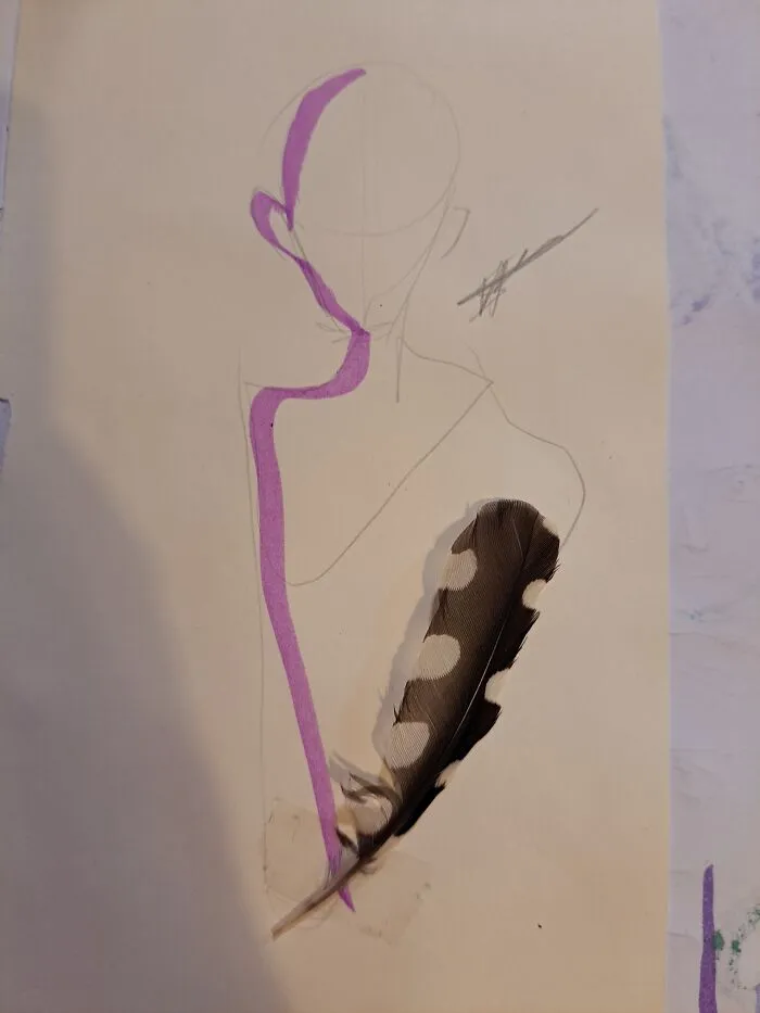 Spotted Feather On My Drawing