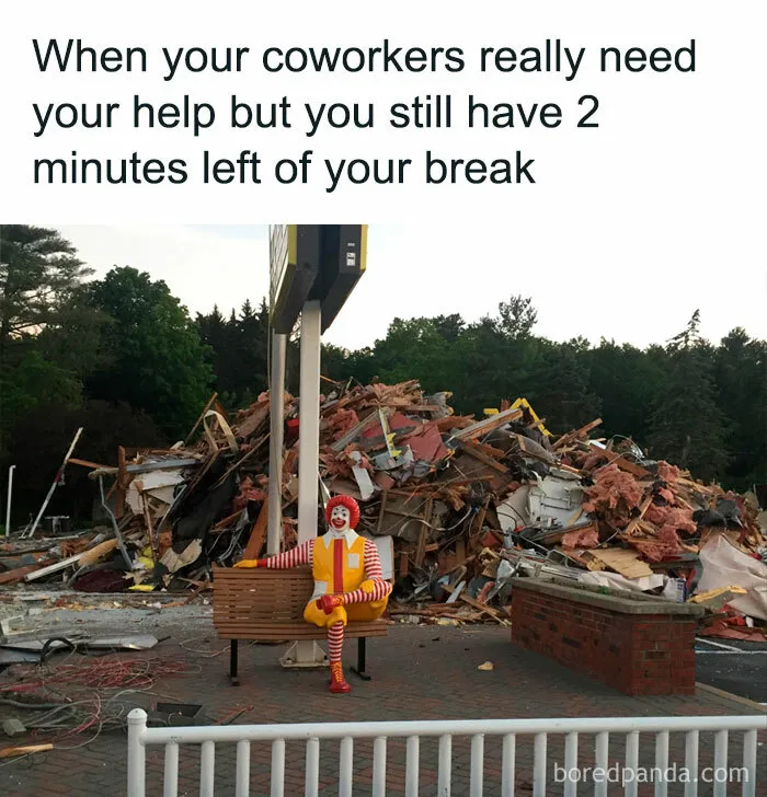 50 Work-Related Memes That May Make You Laugh, Then Cry (New Pics)
