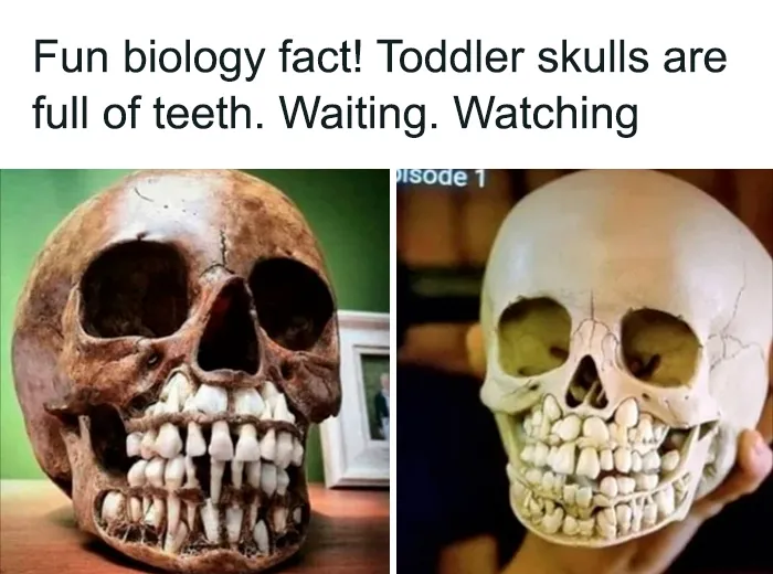 Didn't Need To See This