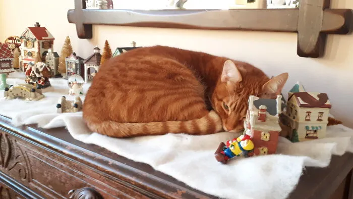 If I Fits
